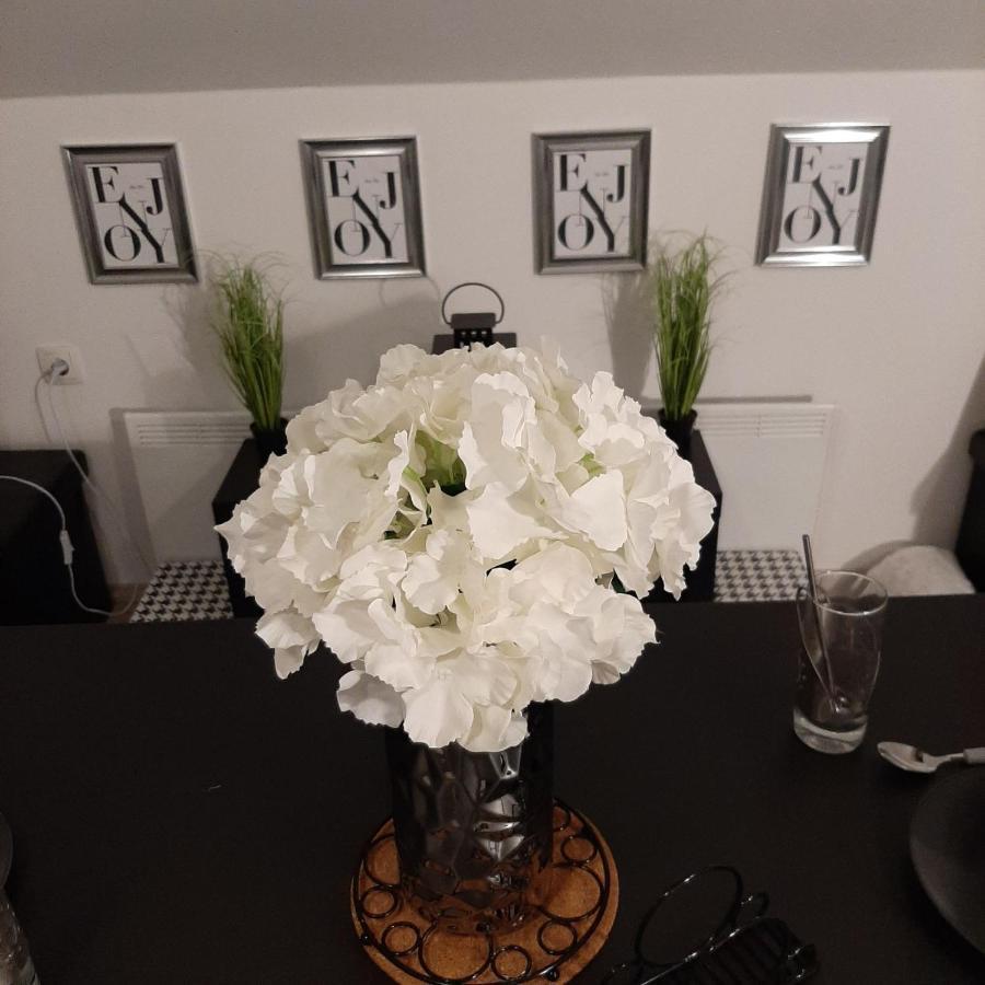 Apartment Mansarda 马里博尔 外观 照片