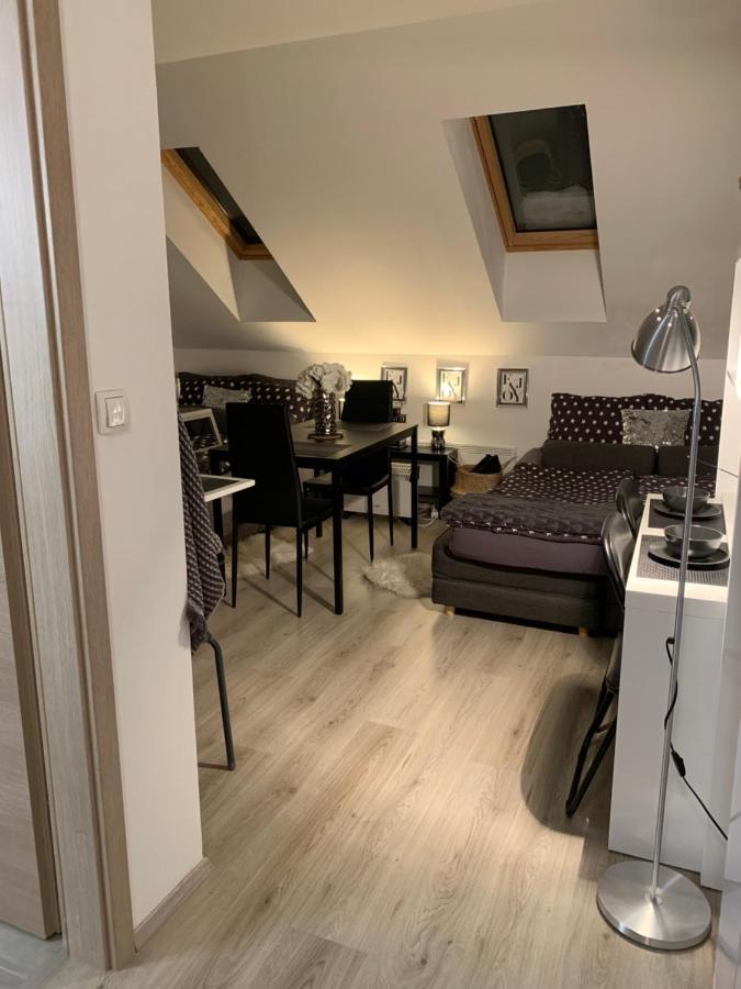 Apartment Mansarda 马里博尔 外观 照片